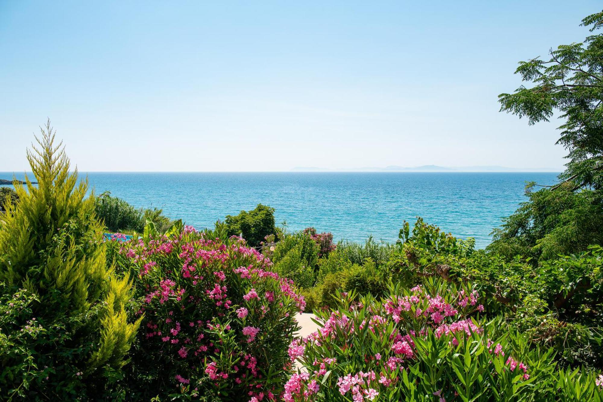 Mare Dei Suites Hotel Ionian Resort Скафідія Екстер'єр фото